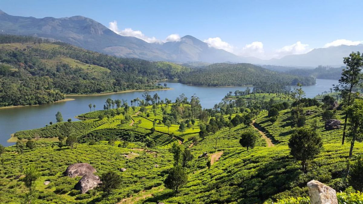 Tea gardens and green hills in Munnar